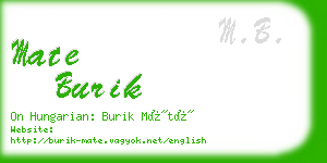 mate burik business card